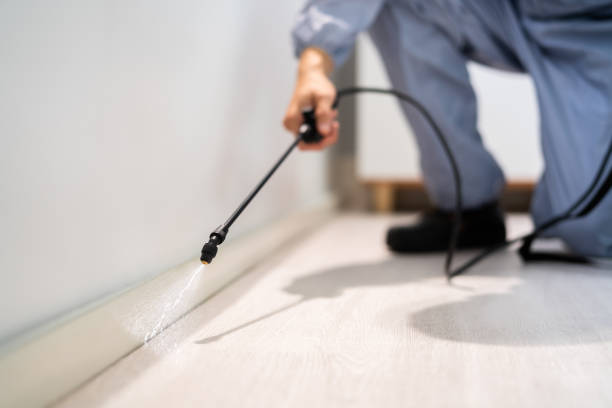 Licensed Termite Control service in North Miami Beach, FL - Show Me Pest Control