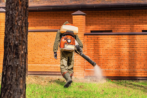 Bed Bug Clearance Verification and Documentation in North Miami Beach